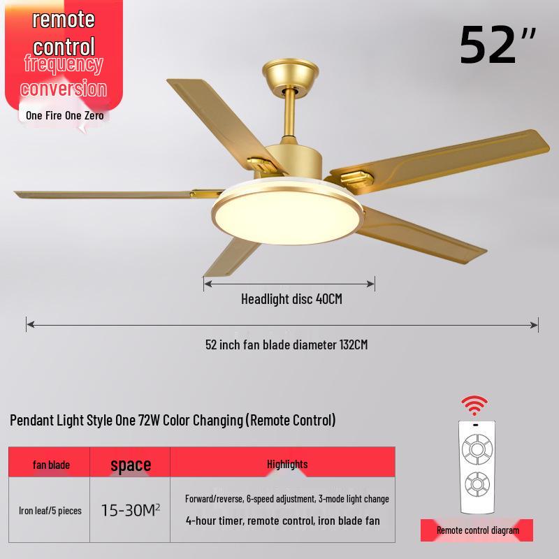 Modern Minimalist Ceiling Fan with Five Stainless Steel Blades, LED Light, Low Noise, and Frequency Conversion for Living Room or Dining Room.