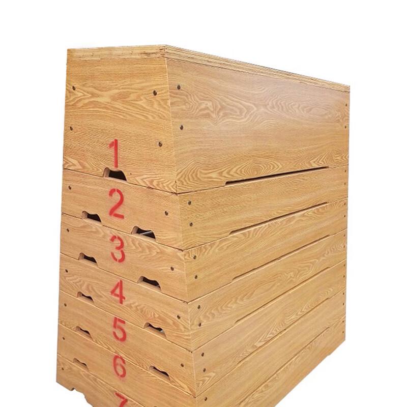 Tiejun Gymnastics Plyometric Vaulting Box