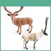 High-quality Educational Animal Models Of Antelope And Deer Great For Kids Learning And Playtime