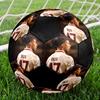 Pallone da Calcio Michael Olise Taglia 5, Cucito a Macchina in PVC, Resistente e ad Alto Rimbalzo, Adatto a Tutte le Età, Merchandising per tifosi, Partite e Uso all'Aperto.