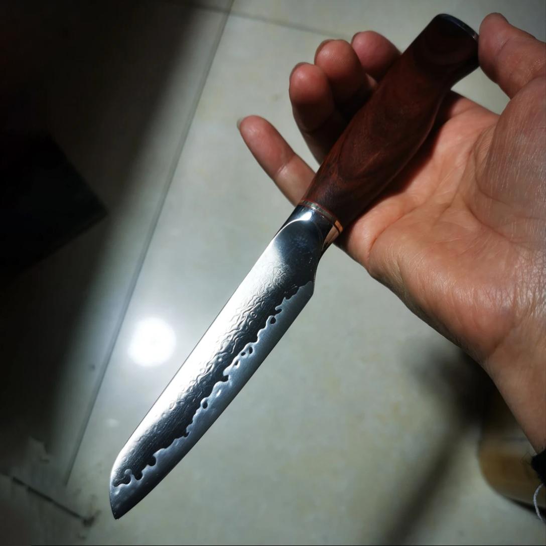 3.9 Inch Paring Knife M390 Steel Core Blade Razor Sharp Peeling Slicing Cleaver Barbecue Damascus Kitchen Knives Wood Handle 3.9 inch