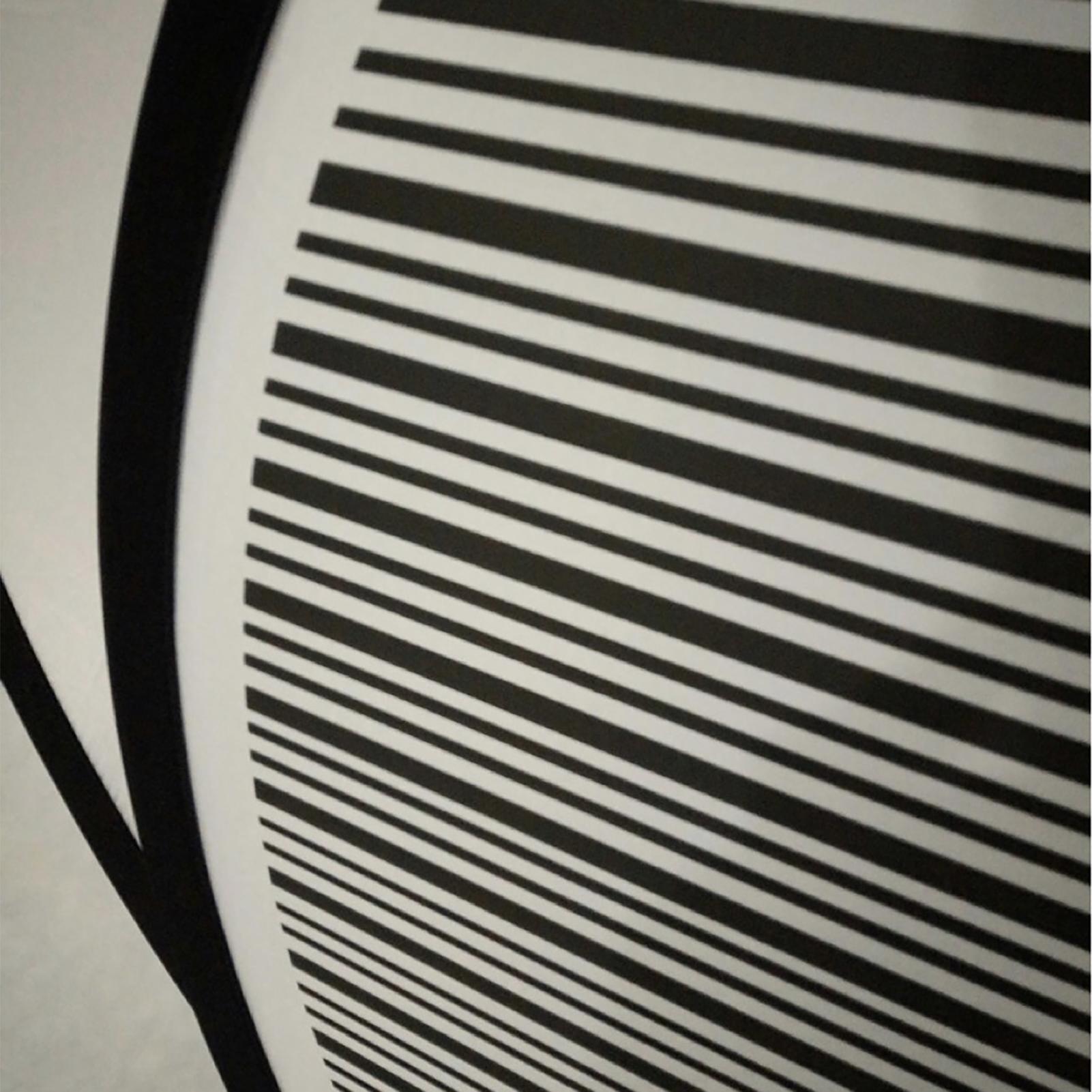 New 80cm Dent Reflector Board Car Dent Remover Check Tool Circular Striped Flexible Foldable Portable Designed Light Reflector CN