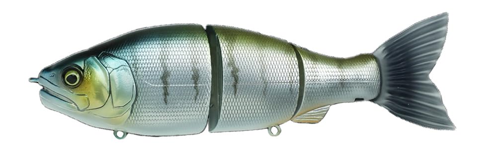 

Gan Craft Ayuya Jointed Claw Ratchet 184F Wild Perch #07