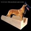 Guardian Dog Training Correction Box