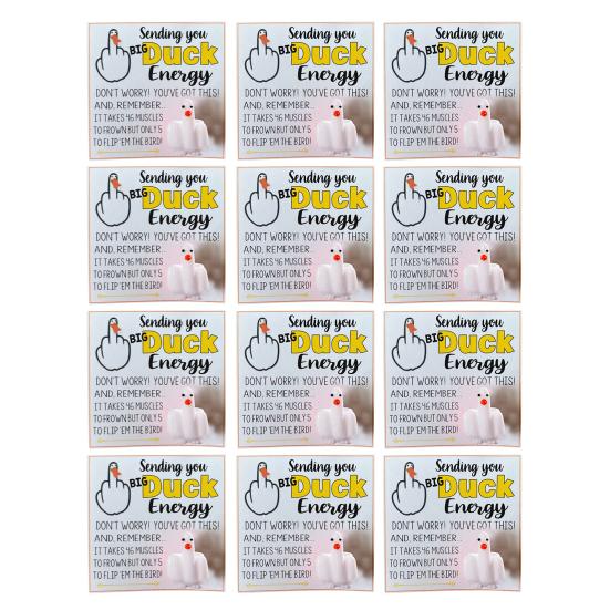 Middle Finger Duck Funny Duck Lucky Charm Gift with Encouraging Card Sending You Big Duck Energy Ornament Inspirational Gift for Friends Family