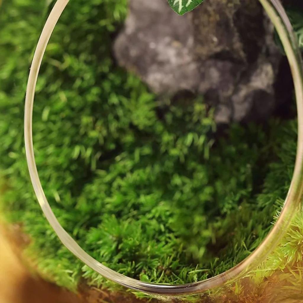 Succulent Plant Moss Glass Vase Egg Shape Fragile Glass Moss Bottle for Home Garden Ball Wedding Decor