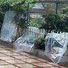 Upgraded Transparent PE Film Home Furniture Dustproof Shelter Balcony Succulent Plants Rainproof Cloth Keep Warm Light Tarpaulin