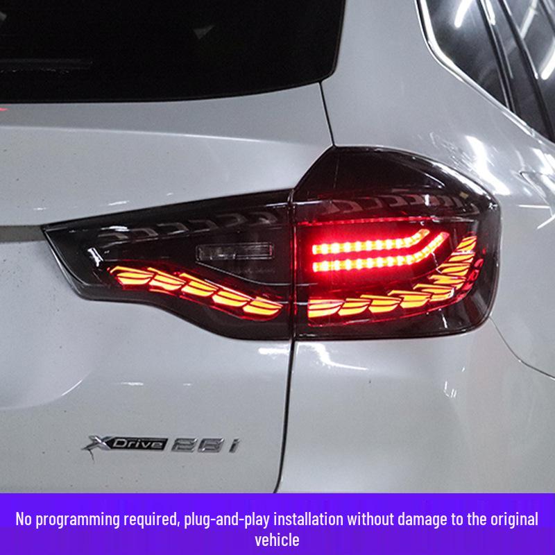 BMW X3 (2018-2021) OLED Dragon Scale Taillight Assembly with Sequential Turn Signal