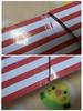 [USED] ORANGE CARAMEL "Try Like Me" Korean Edition CD with Postcard
