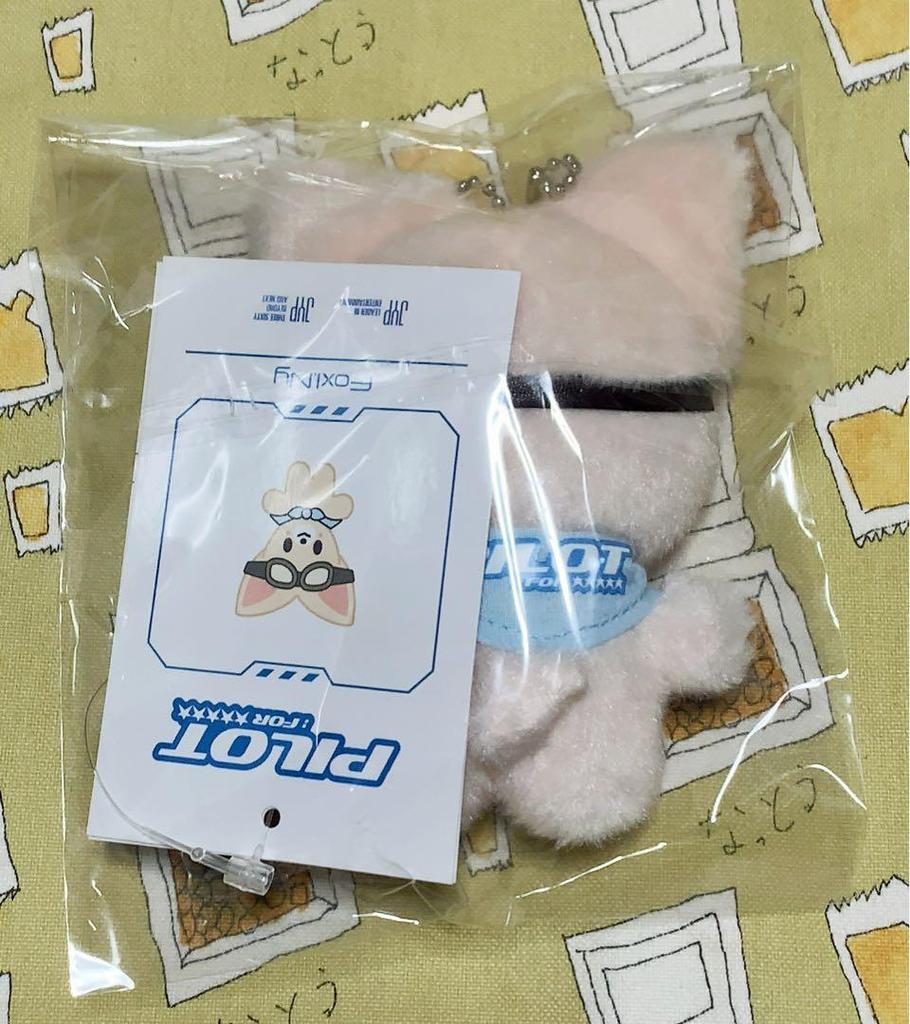 [USED] Straykids SKZOO Foxxy Pilot Plush Toy, 10cm