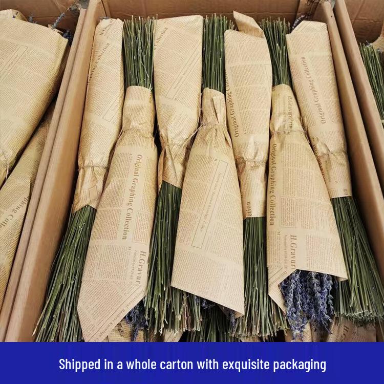 Dried Lavender Flower Bundles - Pure Handmade Living Room Decorations from Xinjiang