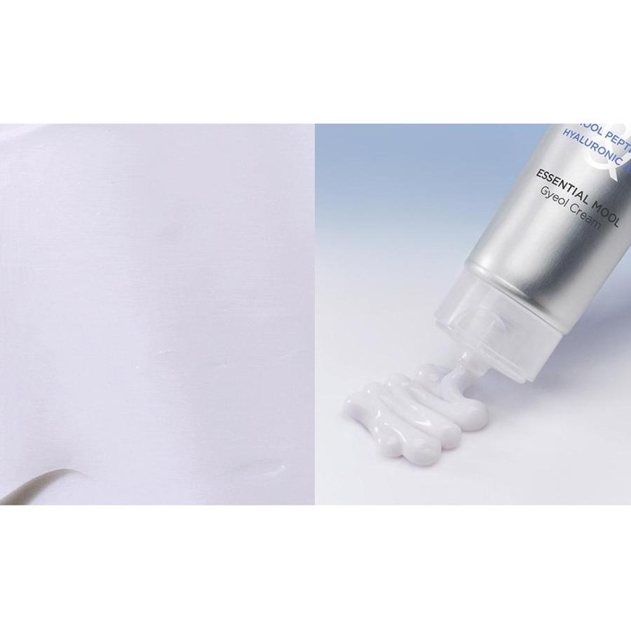 JUNGSAEMMOOL Essential Mool Gyeol Cream 60ml