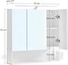 Bathroom Cabinet with Mirror - BBK124W14