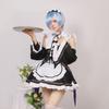 Re:Zero - Cosplay kostým Rem & Ram z Mist City