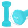 4FIZJO Classic dumbbells for exercises, 2 pcs, 1 kg