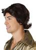 California Costumes 70s Men's Feather-Style Costume Wig, Dark Brown, One Size, 7125-125