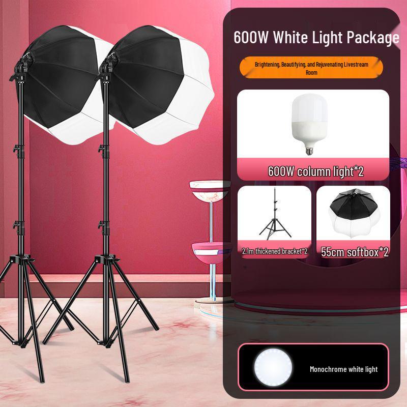 800W Ultra-Bright Spherical Fill Light for Professional Beauty Photography and Indoor Clothing Shoots