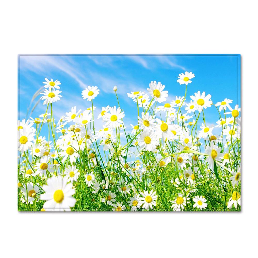 Abstract Daisy Art Large Carpet Living Room Floor Mat Colorful Pattern