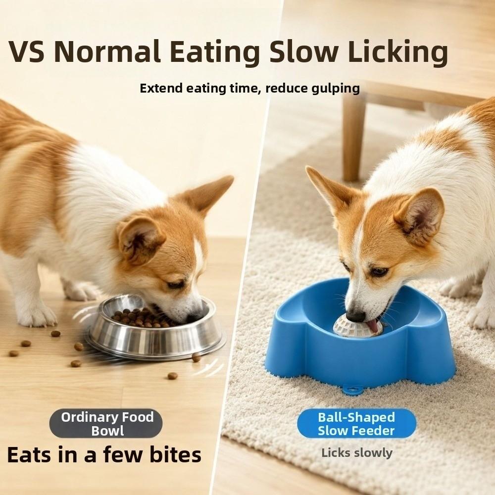 Bite Resistant Slow Feeder Dog Bowl Large Capacity Pet Feeding Bowl Cat Dog Feeding