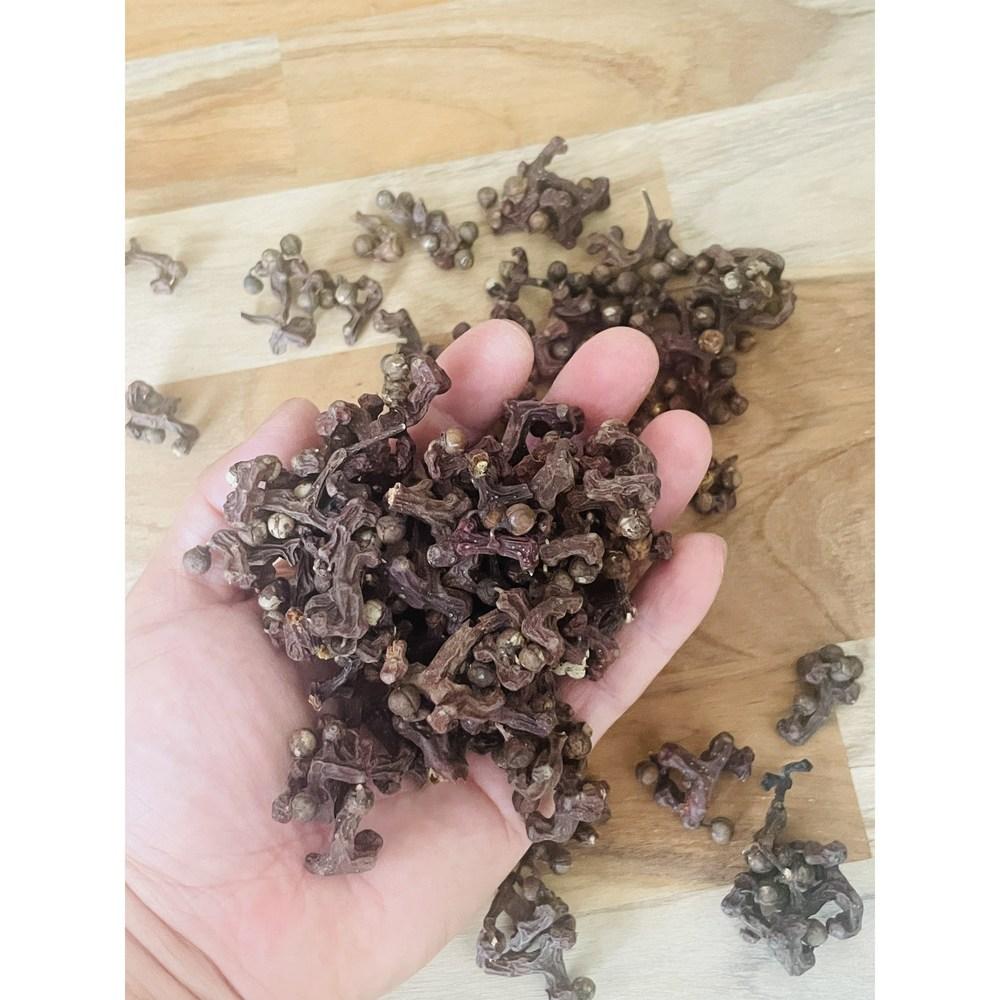 1 Piece of Hovenia Dulcis Fruit
