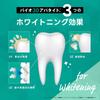 Dr.Oral 3D Tone-Up Powder Toothpaste Bio 3D Apatite 25g Prime Mint