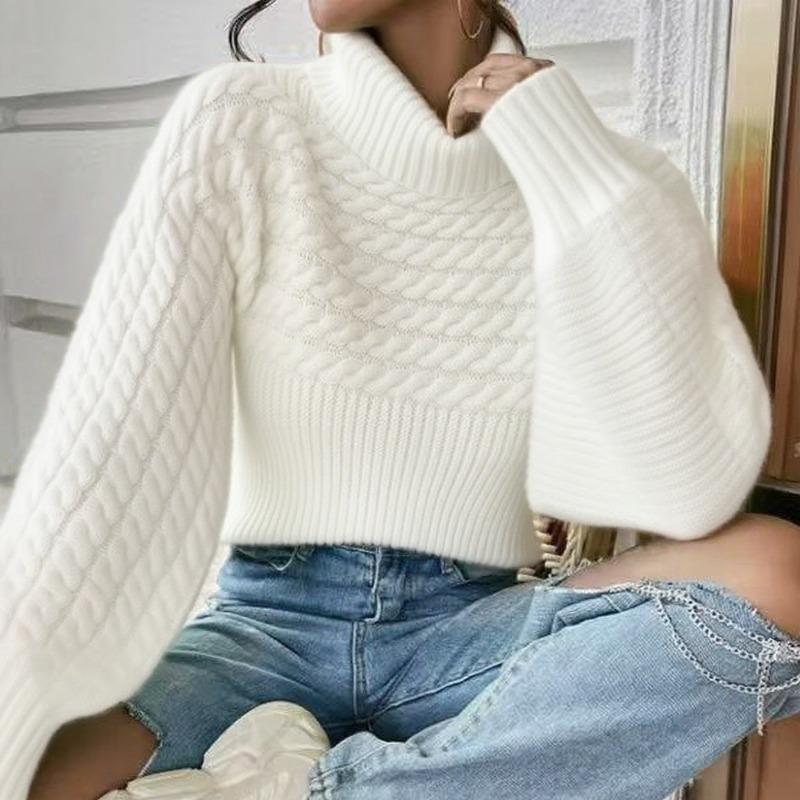 Autumn and Winter Turtleneck Pullover Long-sleeved Sweater Women's Twist Thread Solid Color Knitted Sweater Top