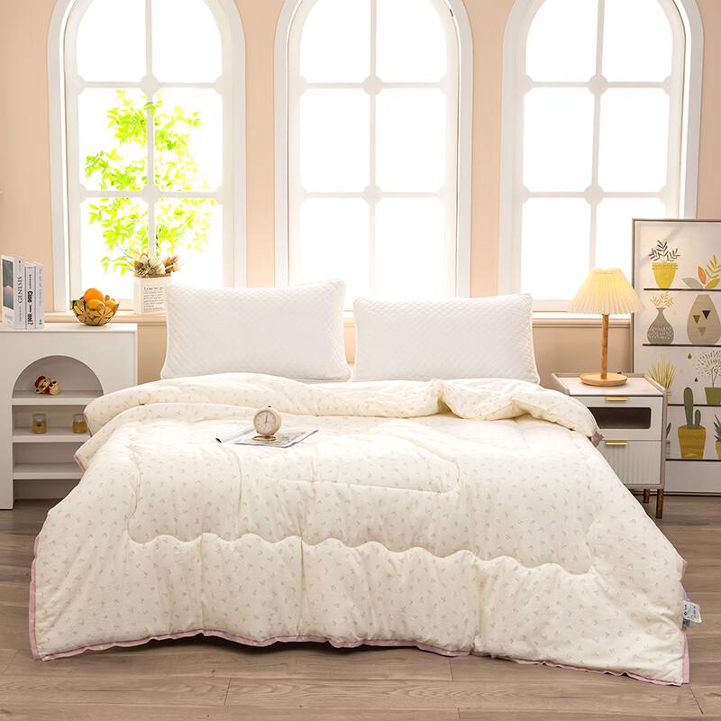 Huici Home Cloud Cotton Warm Winter Quilt