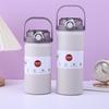 Portable Insulated Stainless Steel Sports Bottle
