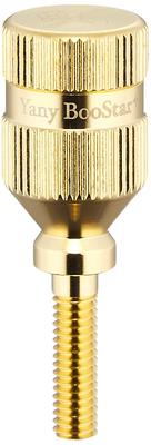 Yany BooStar Neck Screw Gold for Yamaha