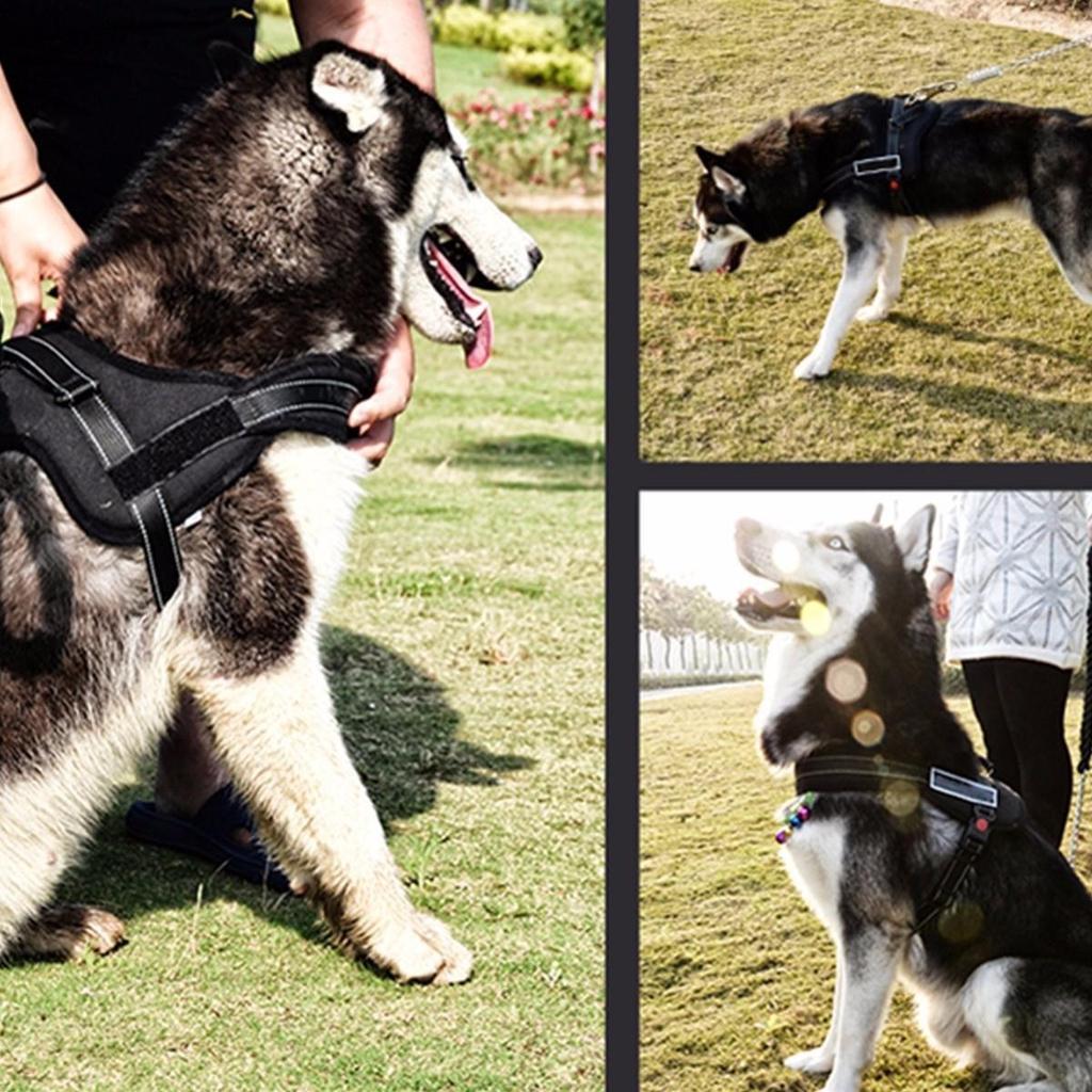 service dog stability harness