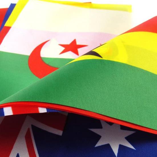 10 Stück Fans Jubelflagge Wunderschön Exquisit Feine Verarbeitung Langlebig Blickfang Jubel Leichtgewicht Nationalflaggen Wimpelkette Wimpel für Wettbewerb