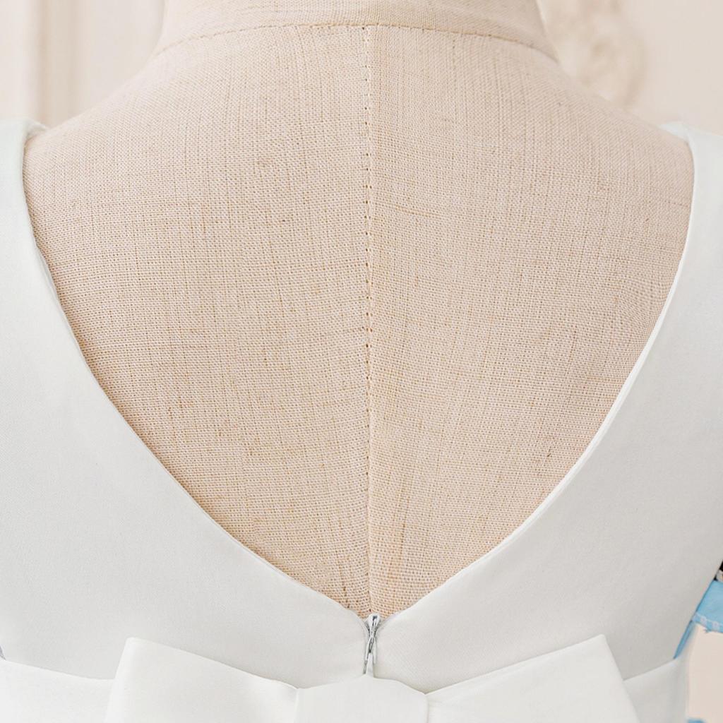 Alice In Wonderland Blue Maid Heart Princess Dress Halloween Costume for Girls