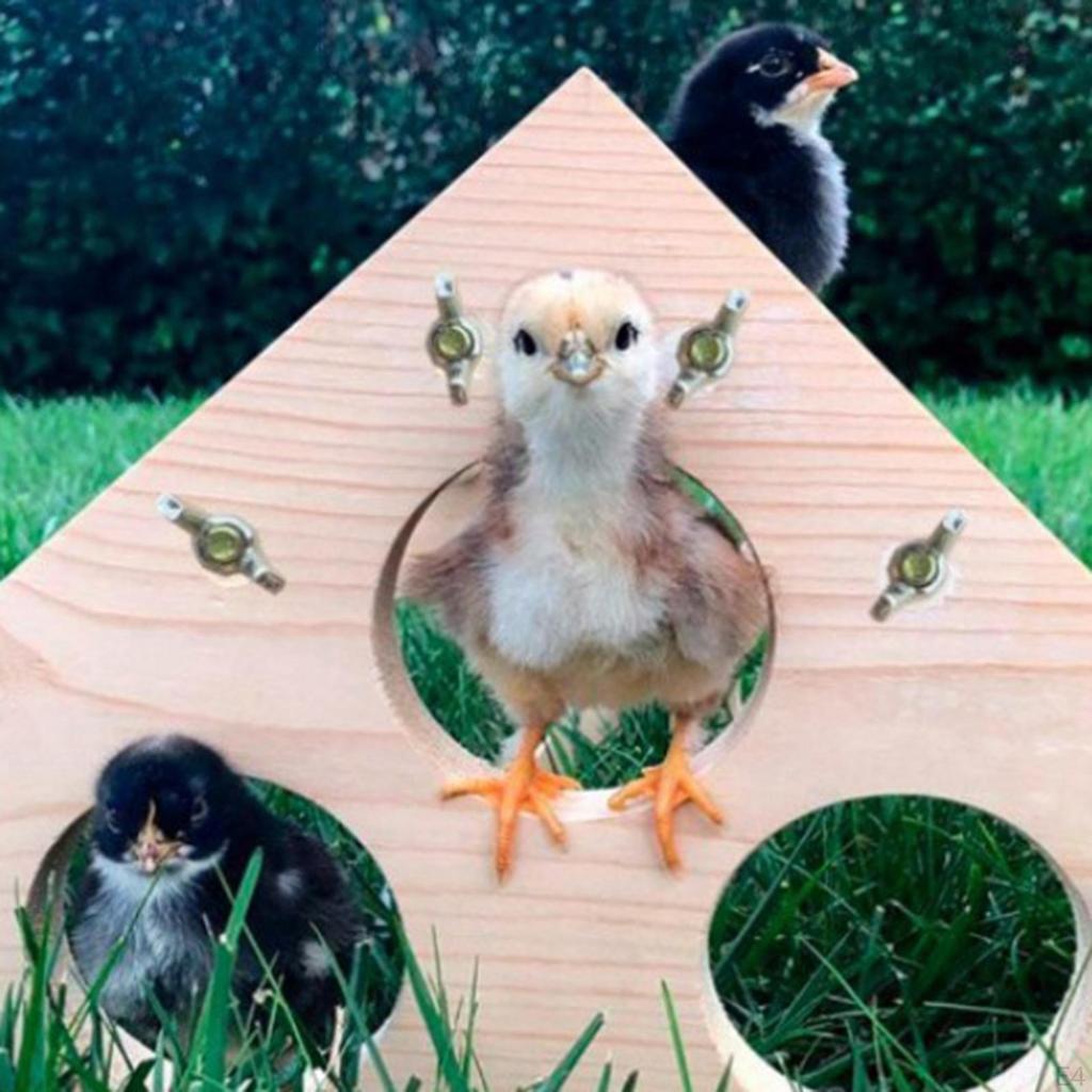 Bird Stand Tabletop,Portable Tee Stand, Parrot Play Perch Gym for Small Medium