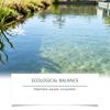 It Is Suitable For Water Quality Improvement And Promote The Healthy Growth Of Aquatic Organisms.