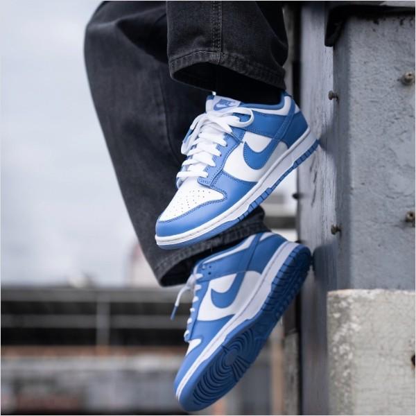 

Nike Dunk Low Retro BTTYS, DV0833-1020101683