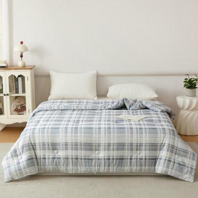 Muji Pro 2.0 All-Season Silk Cotton Blend Quilt
