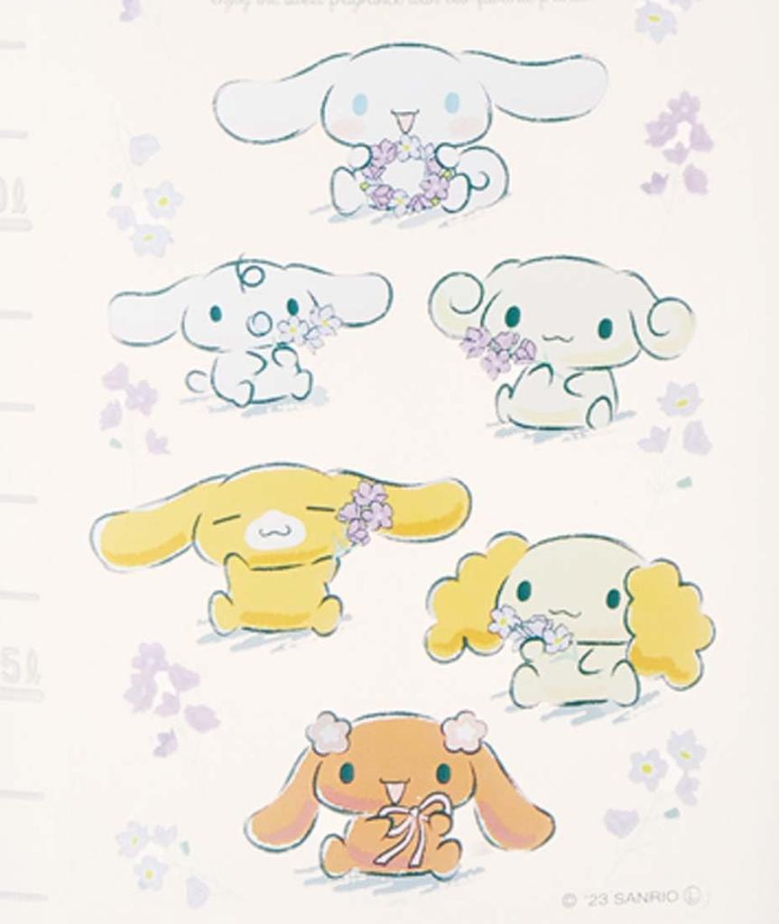 Skater Water Cinnamoroll Flower Sanrio Water Pot, Wreath, Bottle/Water Pitcher, CI19-A