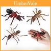Montessori Insect Animal Model Set With Realistic Plastic Figures For Educational Play And Recognition