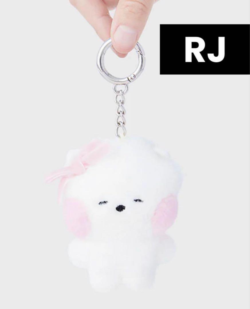 

[USED] BT21 RJ Jin RIBBON Ribbon Plush Keyring Keychain
