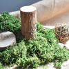 High Quality Artificial Moss Lichen Simulation Green Plants Fake Flowers Moss Micro Landscape Home Garden Decor 20g/50g/100g