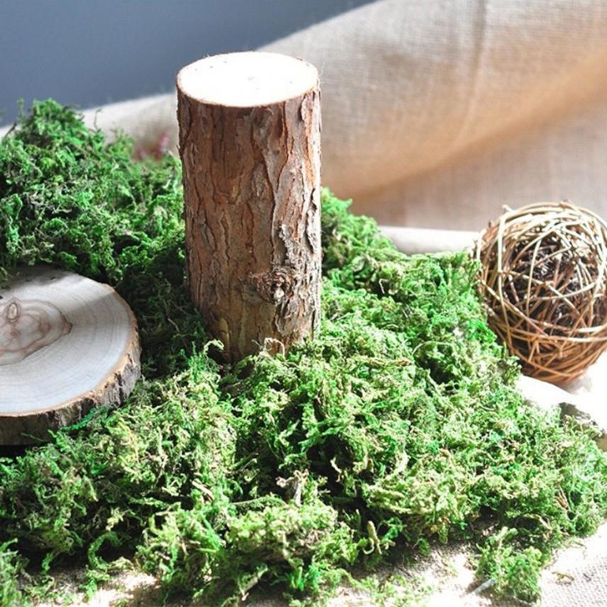 High Quality Artificial Moss Lichen Simulation Green Plants Fake Flowers Moss Micro Landscape Home Garden Decor 20g/50g/100g