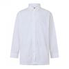 Diesel Mens C Bruce Shirt