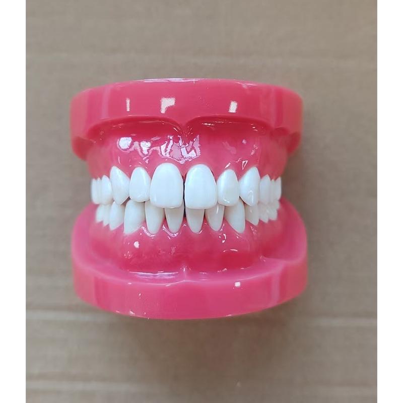 Прозора Знімна Повна Модель Щелепи з М'якими Яснами та Зубами для Підготовки до Імплантації