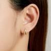 Electroplated Geometric Earrings, Fashionable Modern Women'S Temperament Earrings, High-End Professional Women'S Earrings