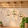 Vase Wall Mounted Planter Home Ornaments Wall Decoration Hydroponic Planter Shelf  Bedroom Window