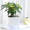 Self Watering Plant Pot with Drainage Holes High Strength Reusable