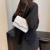 Solid Color Autumn 2025 New Retro Simple Casual Chain Texture Crossbody Shoulder Small Square Women's Bag