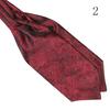 Men's Classic Colorful Silky Satin Wedding Banquet Necktie Cravat Ascot Tie
