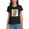 Üst Kıyafetler – T-shirtler