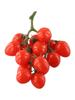High Quality Imitation Tomato Bunch with Realistic Touch 19cm Fruit Vegetable